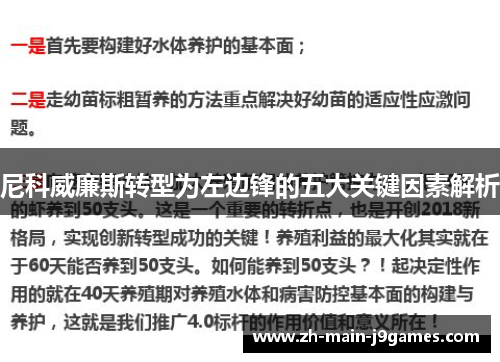 尼科威廉斯转型为左边锋的五大关键因素解析